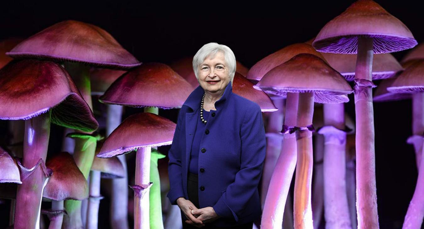 Varázsgombát evett az amerikai pénzügyminiszter Kínában 