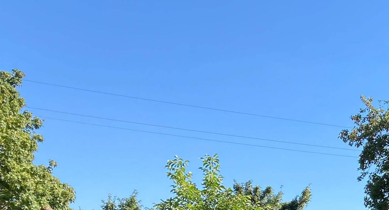 Nyári idő, sok napsütéssel