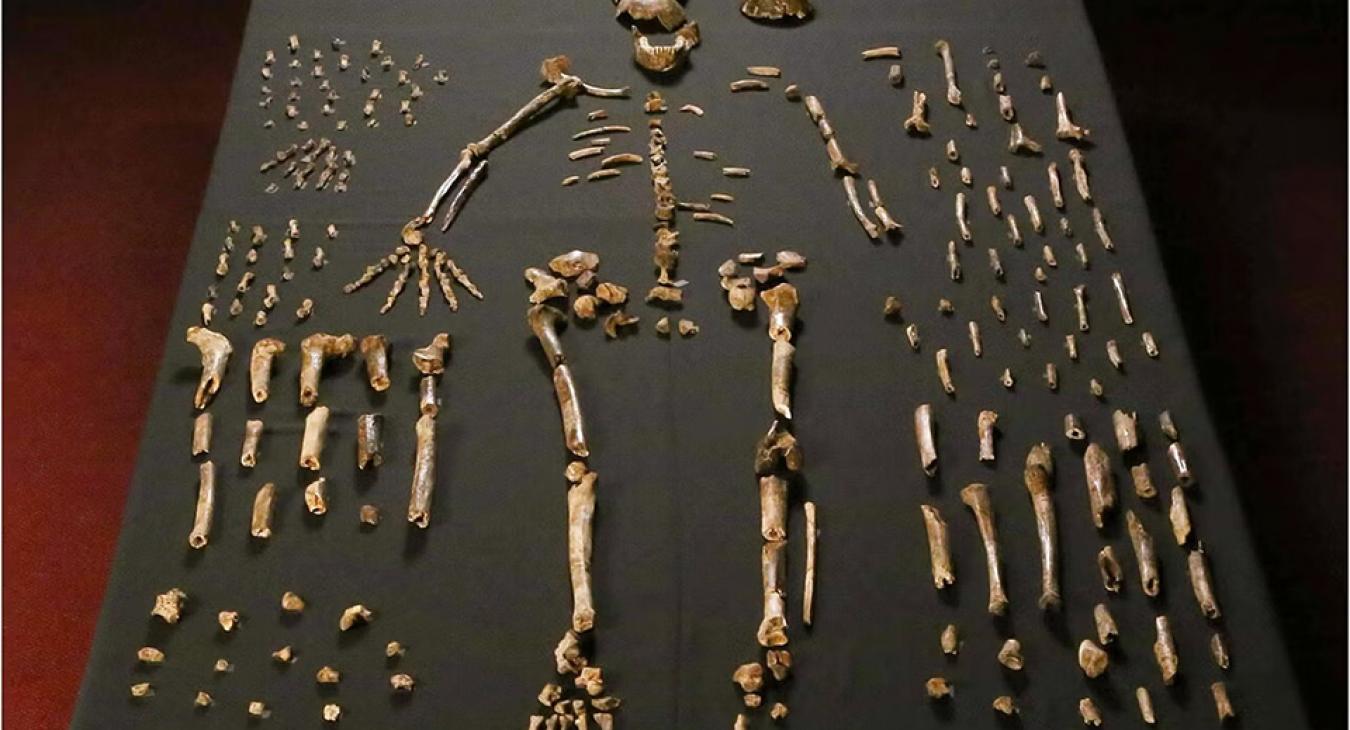 Borulhat az őskori történelem