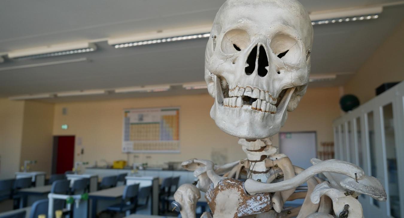 Így ürül ki a tanárképzés az egész országban