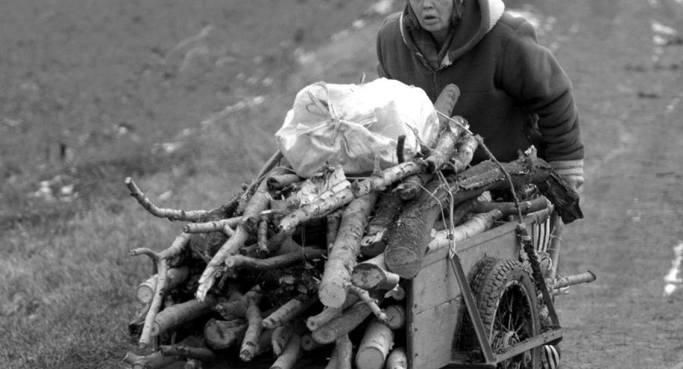 Melyik vármegyékben történik a legtöbb falopás? 