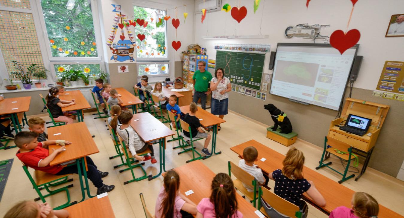 A magyar iskola nem az életre tanít, hanem arra, hogy hogyan kell viselkedni az órákon