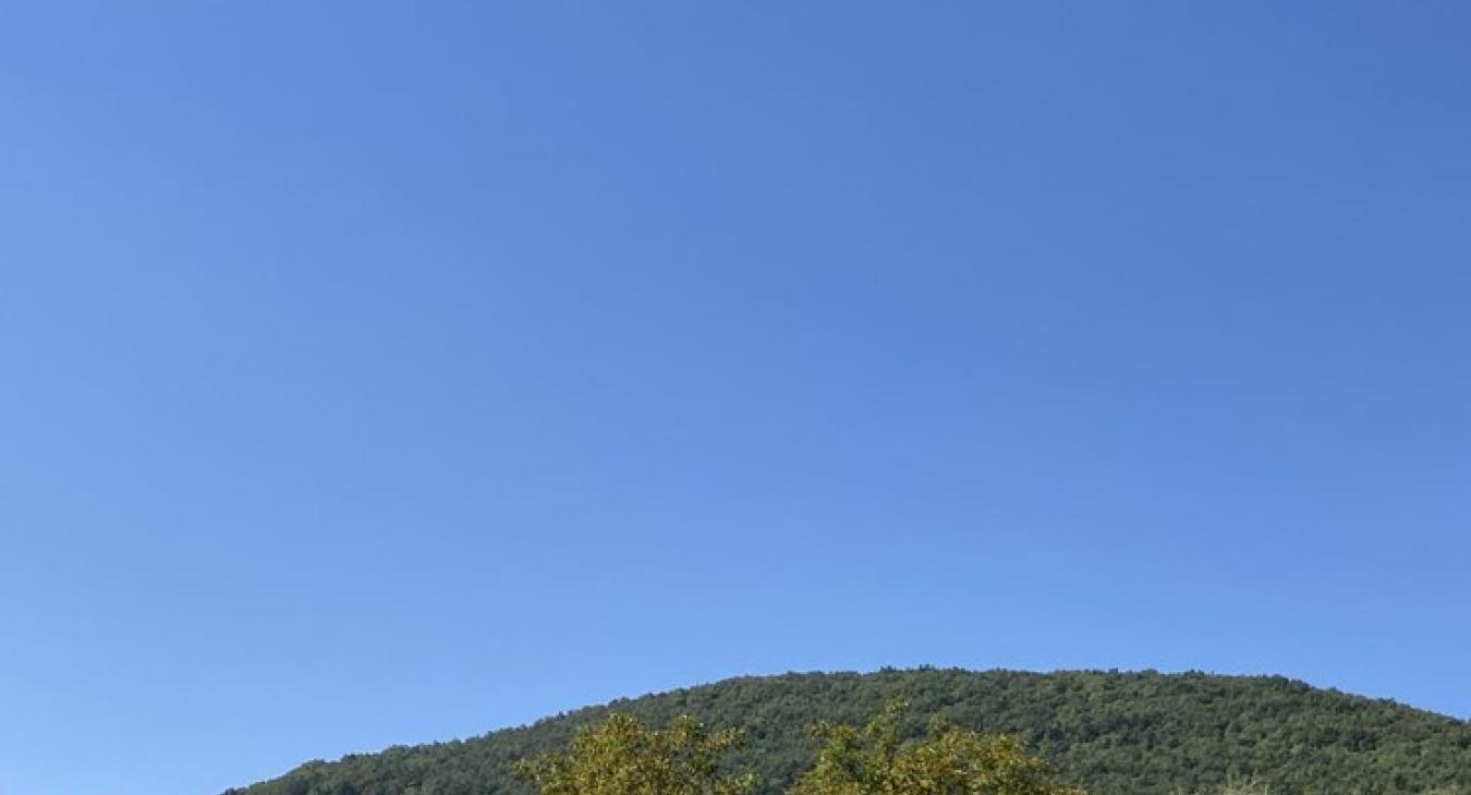 Nyárias időt tartogat a szombat