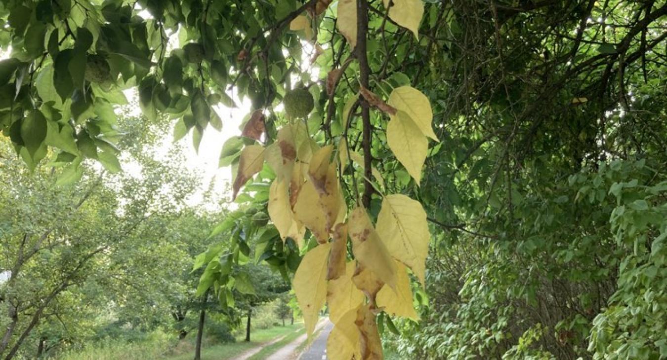 Nyári idővel indul az ősz