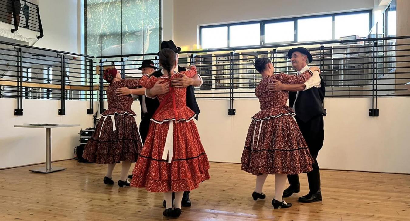 Van egy fürdőmedence, amiben néptáncolnak 