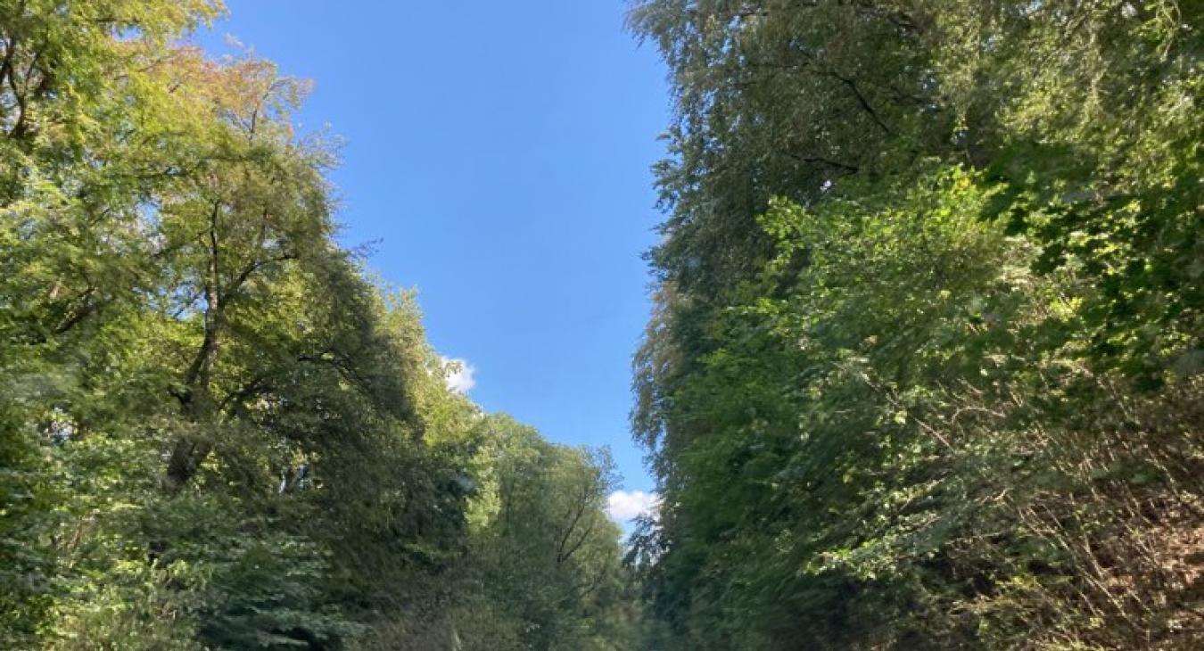 Szép nyári nappal indul a hét