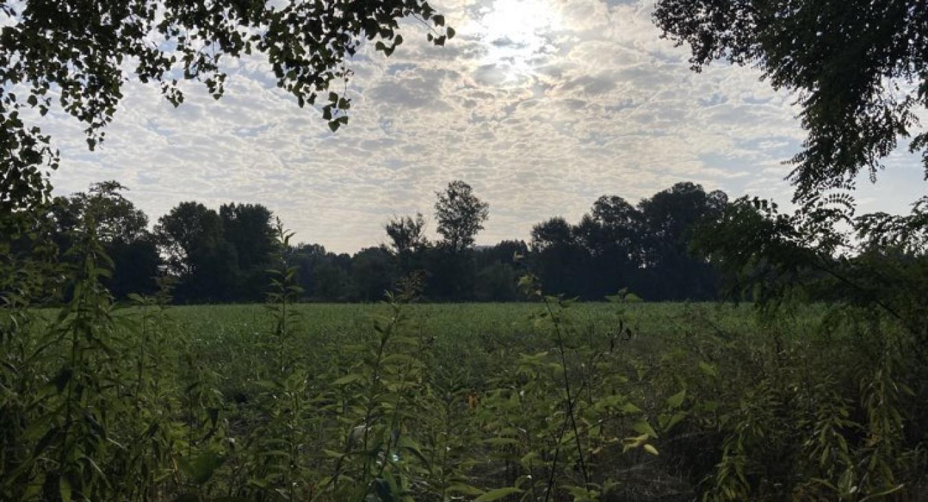 Este minden megváltozik