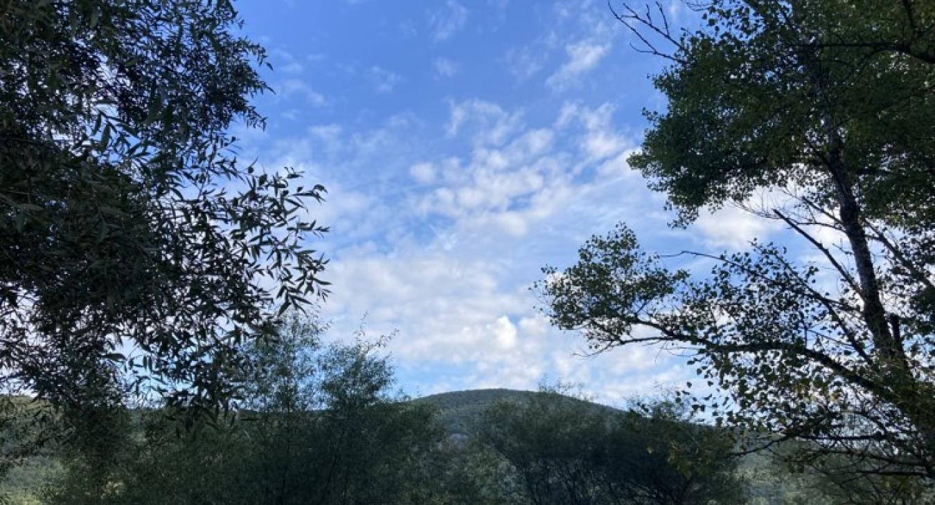 A nyarat idézi a péntek is