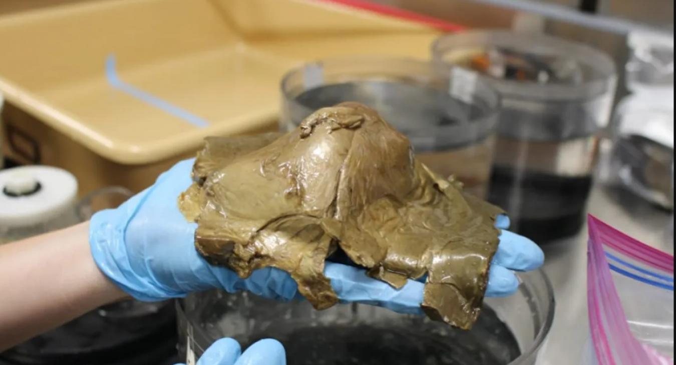 Elképesztő: az óceán fenekén talált titokzatos aranytárgy "biológiai eredetű"
