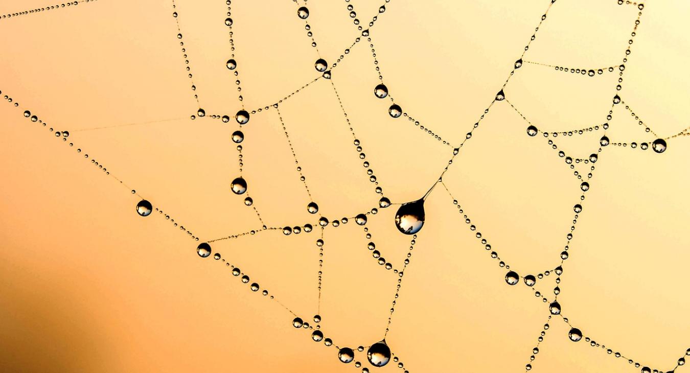 A pókháló lehet a megoldás a világ édesvízhiányára