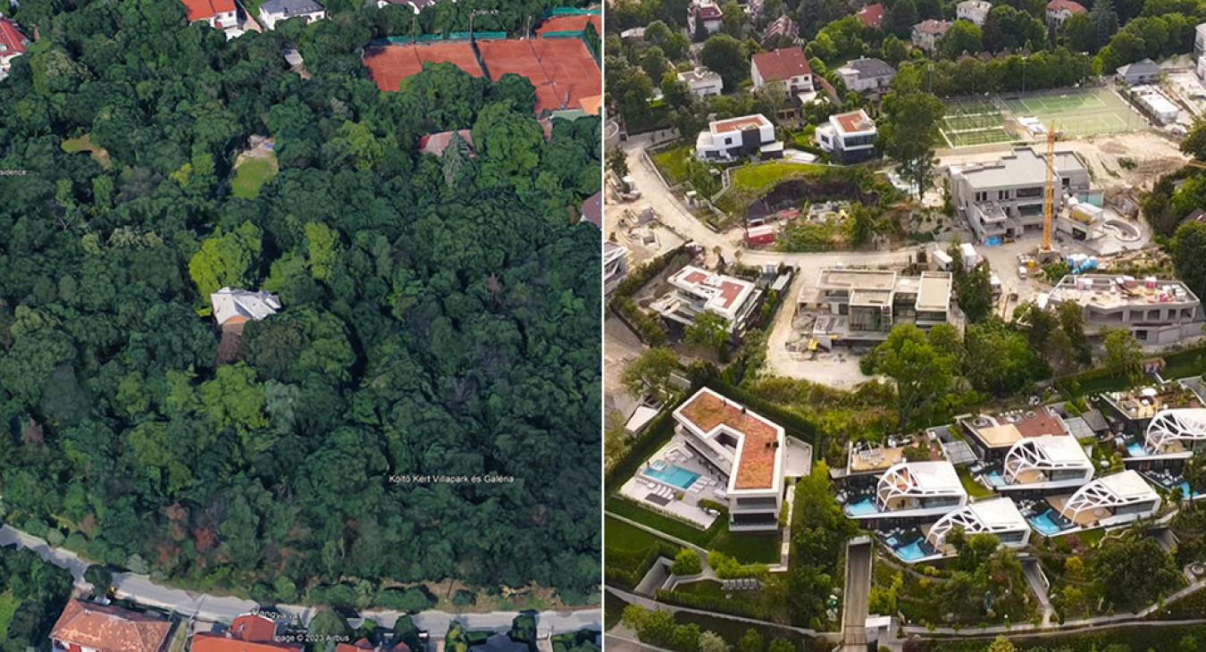 Komolyabb erdőirtás történt a XII. kerületben