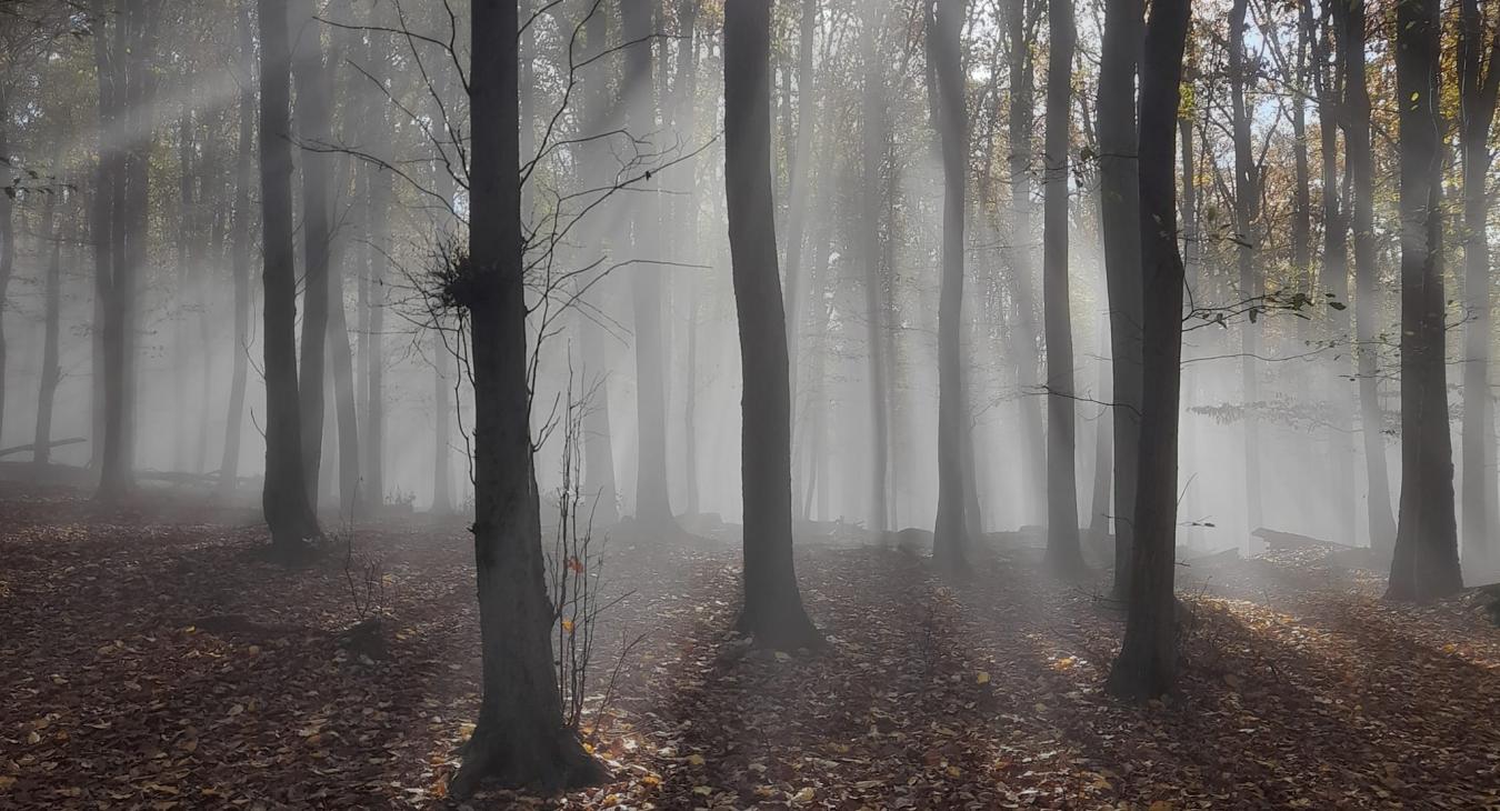 Ma a nap is kisüthet, picit