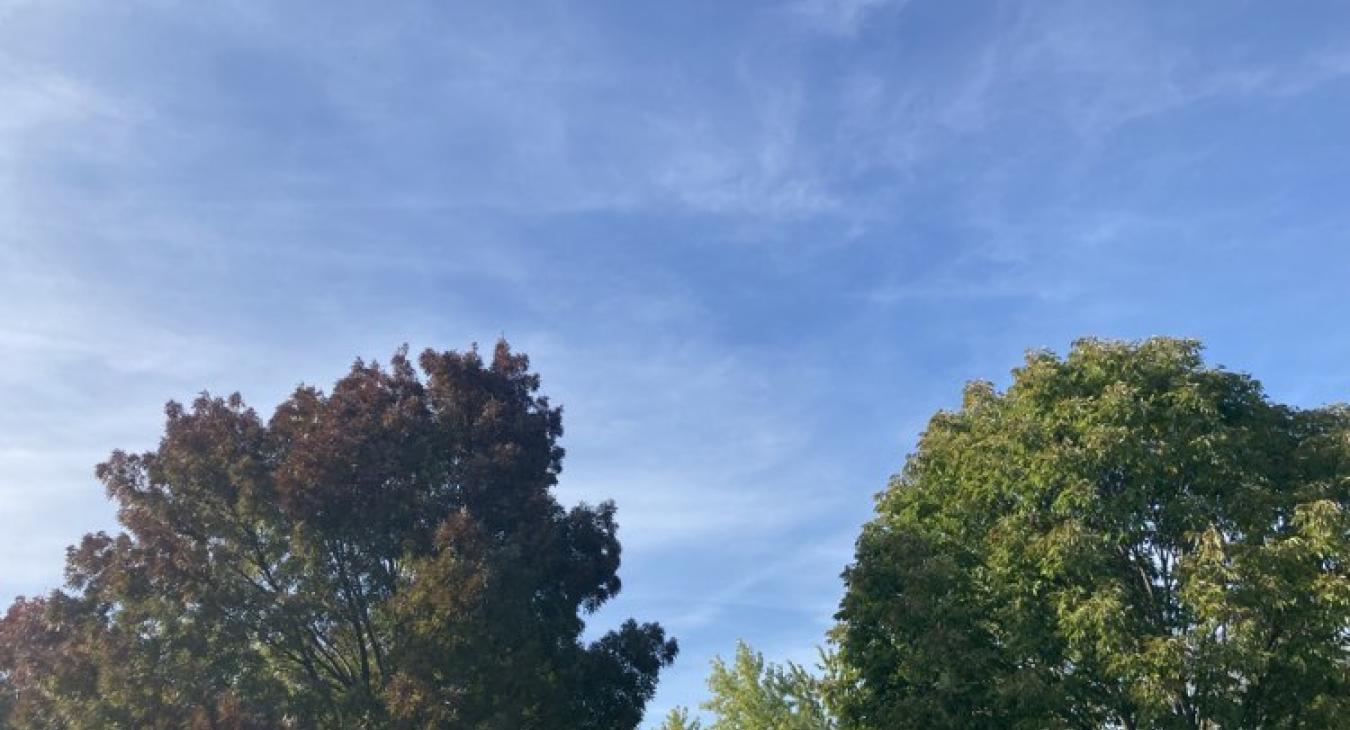 Kellemes őszi idővel folytatódik a hét