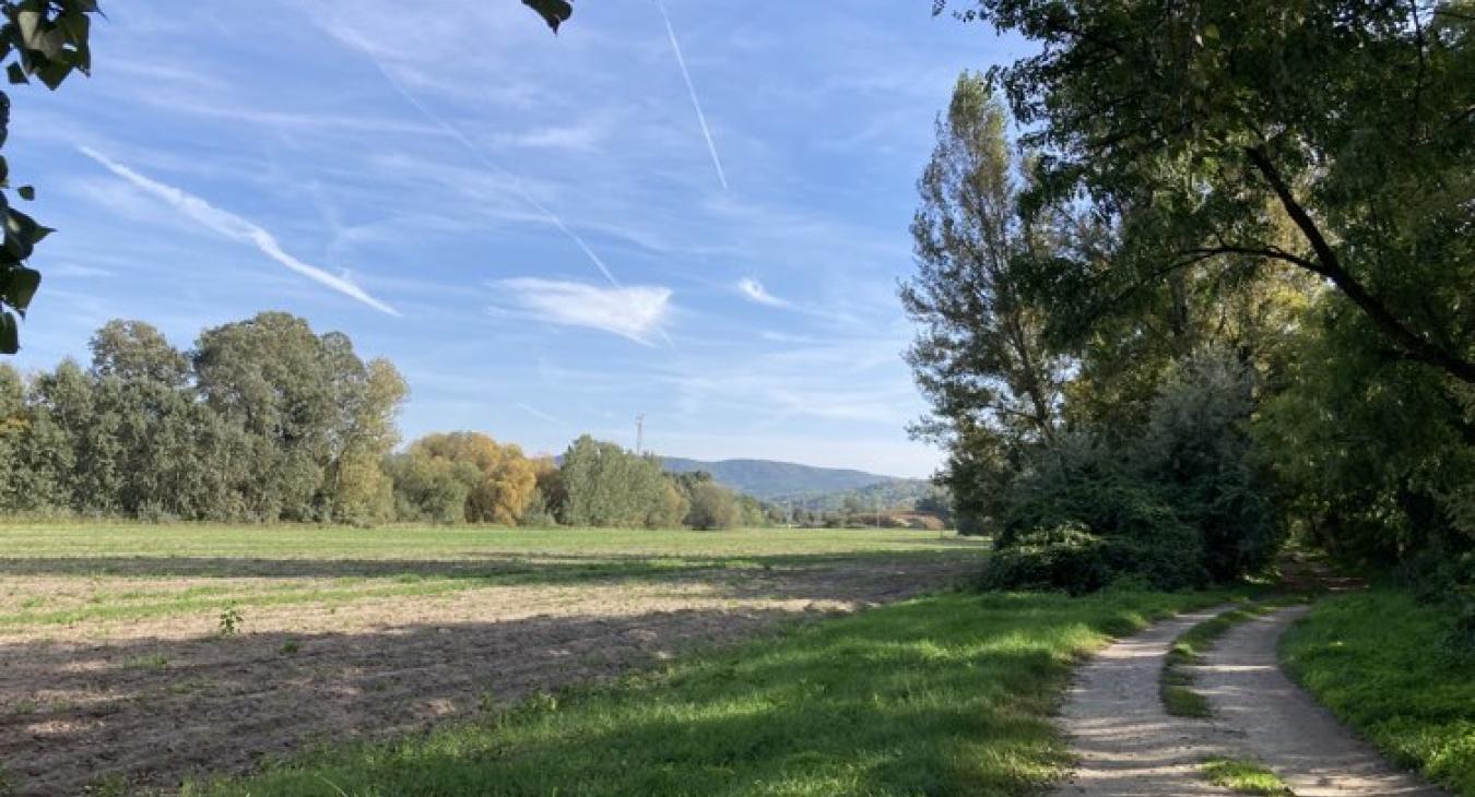 Pénteken is az ilyenkor szokásosnál kellemesebb és melegebb idő lesz