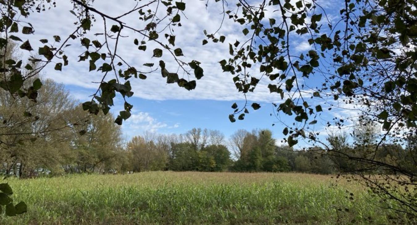 Némi napsütésre is számíthatunk ma