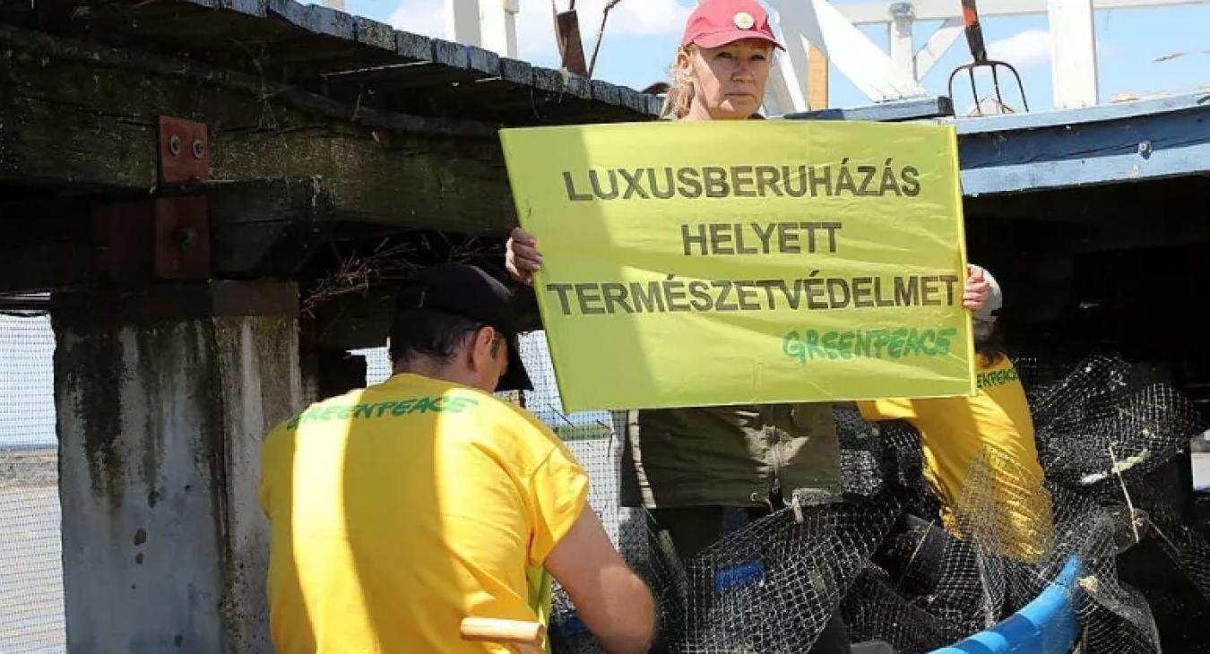 Fecskéket mentettek, Udvaros Dorottyát is elítélte a bíróság 