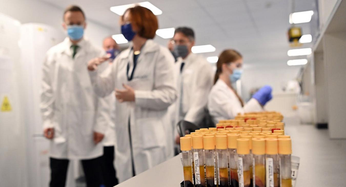 Megbukott a nemzeti laborcég terve