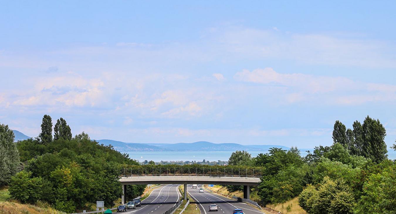 Durva lesz az egynapos matrica ára