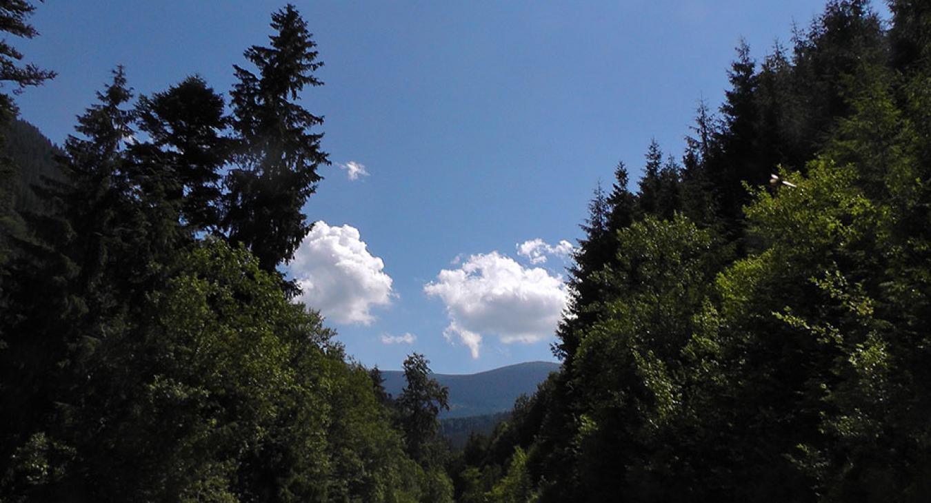 Tudta, hogy a szomszédunkban lesz az európai Yellowstone park?