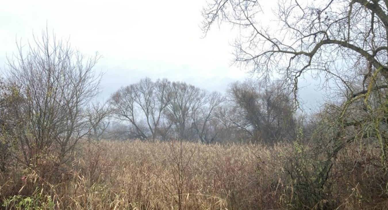 Sokfelé élénk, erős lesz az északi-északnyugati szél