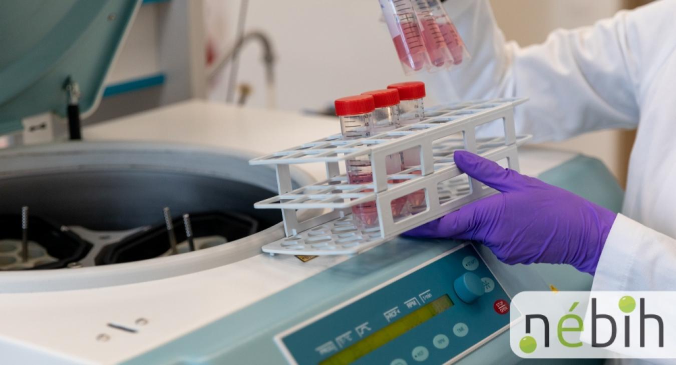 Nincs olyan növényi fehérjepor, amely átment volna a Nébih vizsgáján