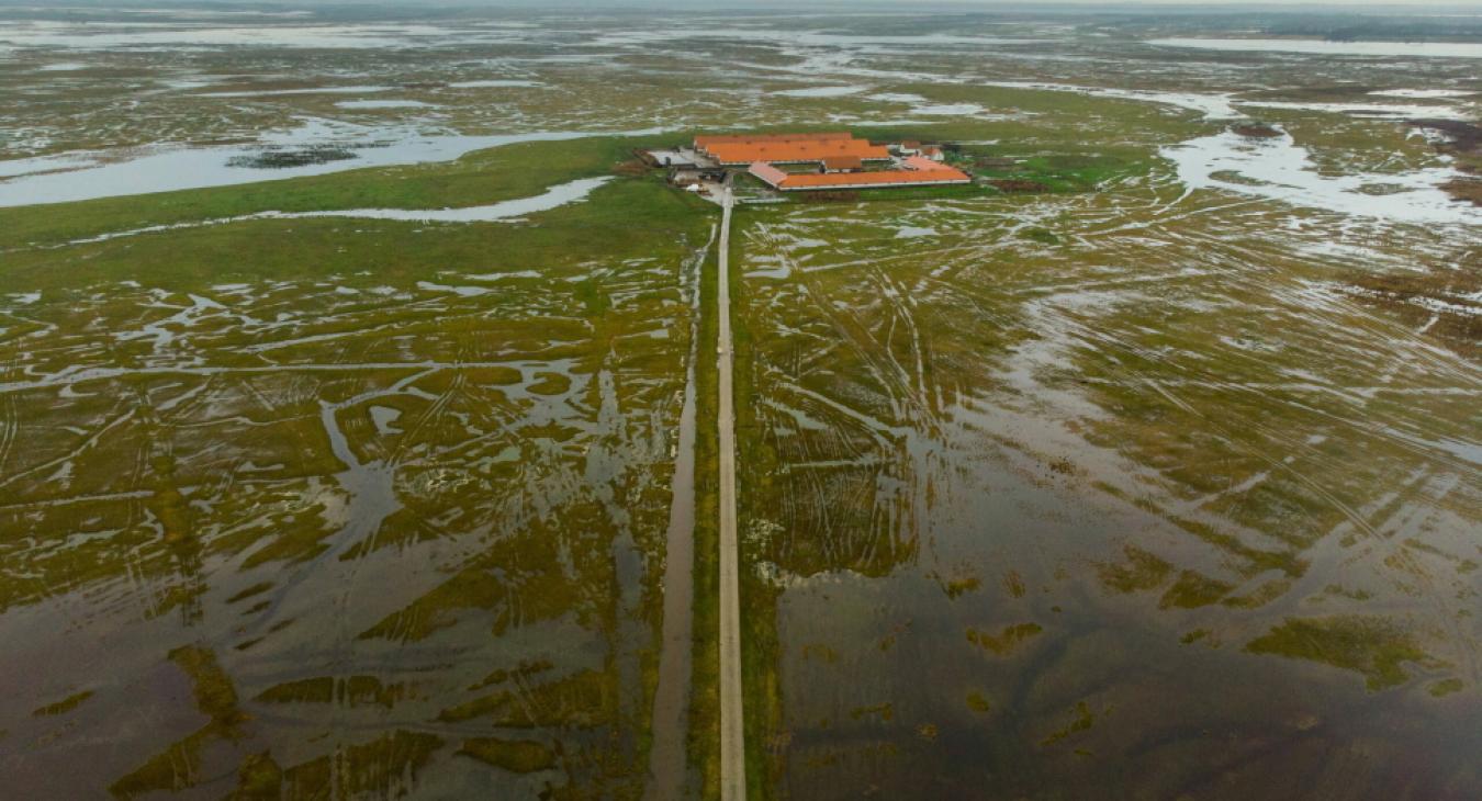 Nem a belvíz miatt fáj a fejük a gazdáknak – a gabonapiac helyzete sokkal nyomasztóbb