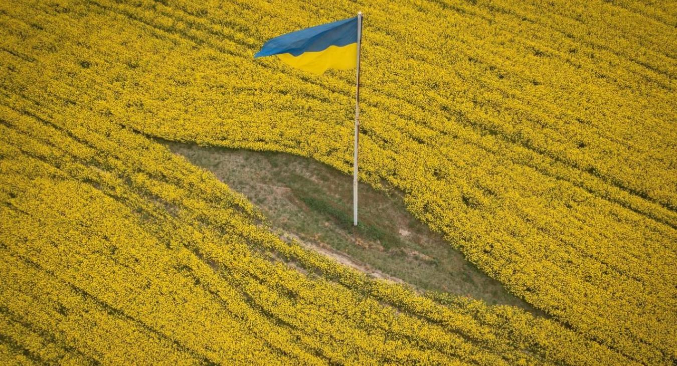 Kimondták: van, amiben nem tud versenyezni a magyar áru az ukránnal 