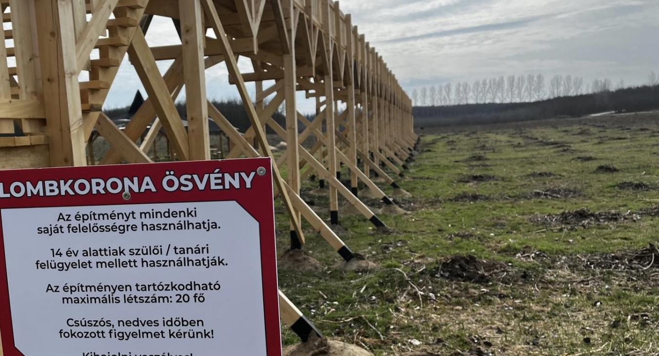 Lombkoronasétány-ügy: nagyon magas szinten húzták ki a gyufát