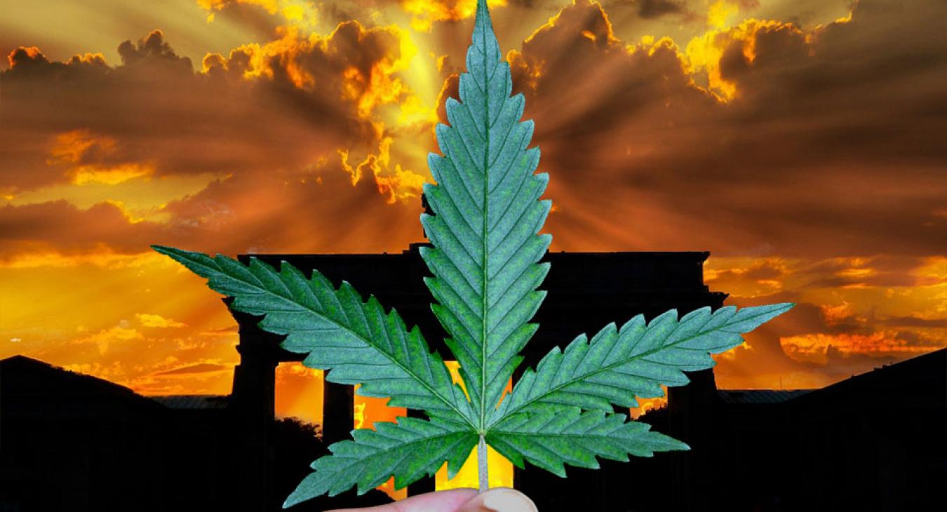 A német kormány rábólintott: jöhet a legális kannabisz Németországban 