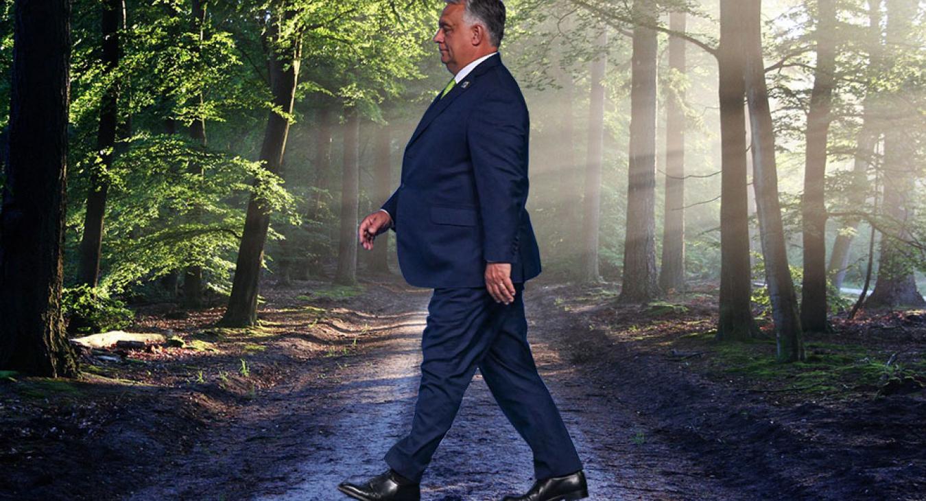 WWF: átállt az Orbán-kormány