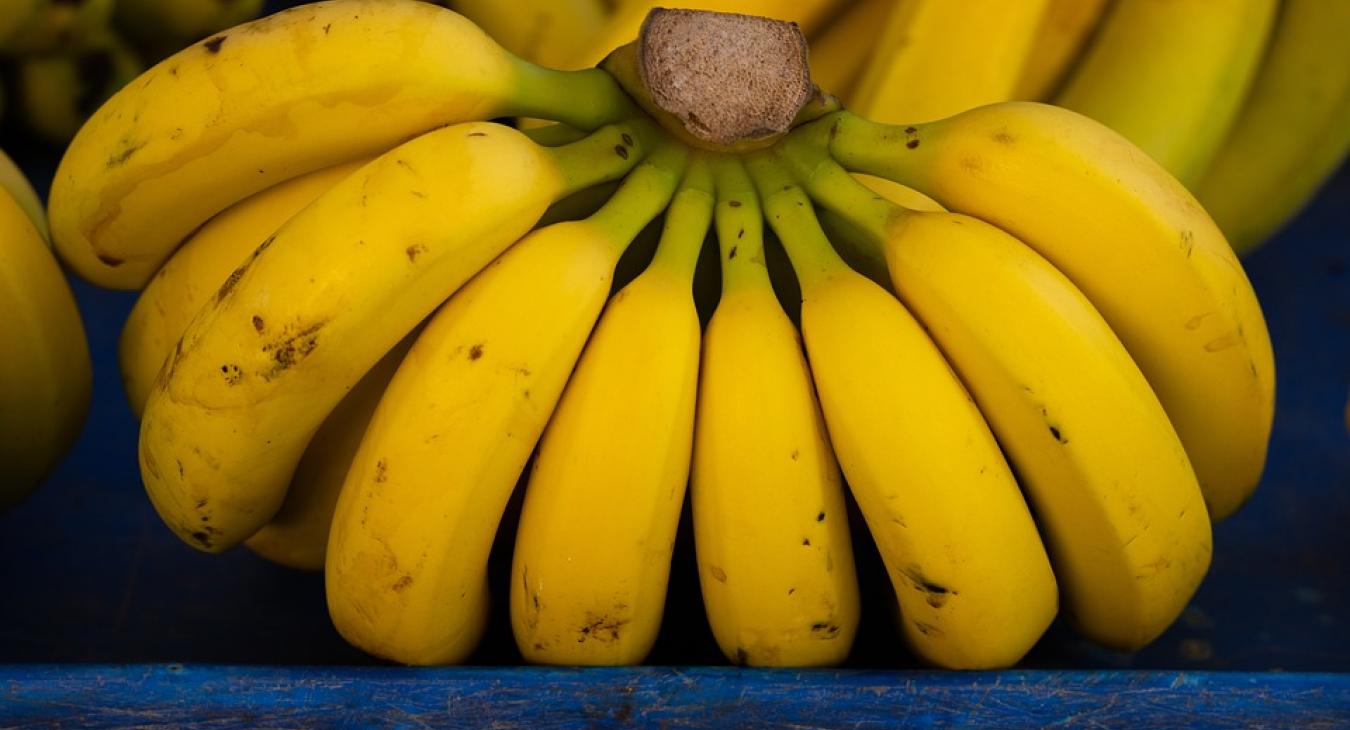 Egyre gyanúsabbak a banánszállítmányok, a hatóságok éberen figyelik 