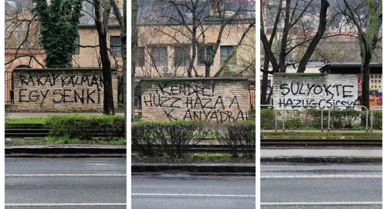 "Sulyok, te hazug csicska" 