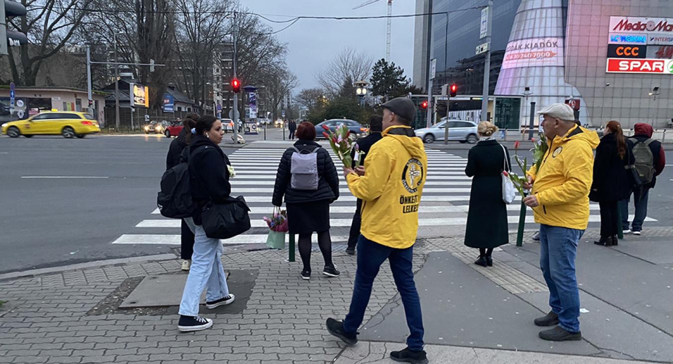 Egy szál virág a Nőkért, a Nőknek