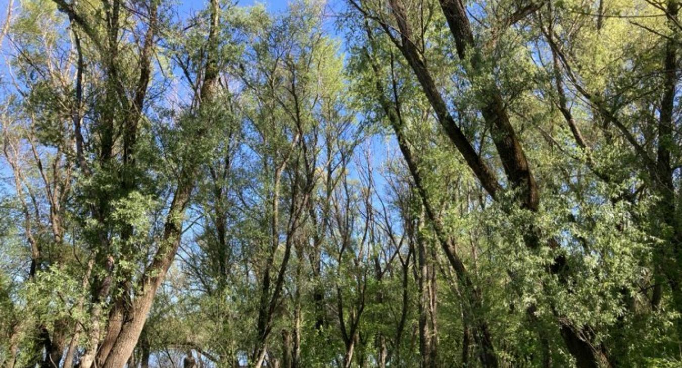 Júniusra emlékeztető időre számíthatunk sok napsütéssel és csapadék nélkül