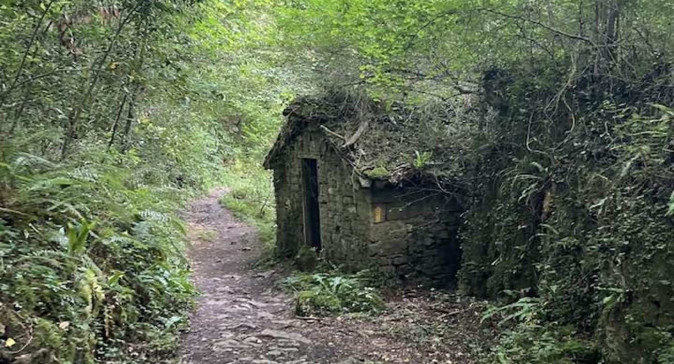 Magyar Péter: a bicskei rémálom nem egyedi eset