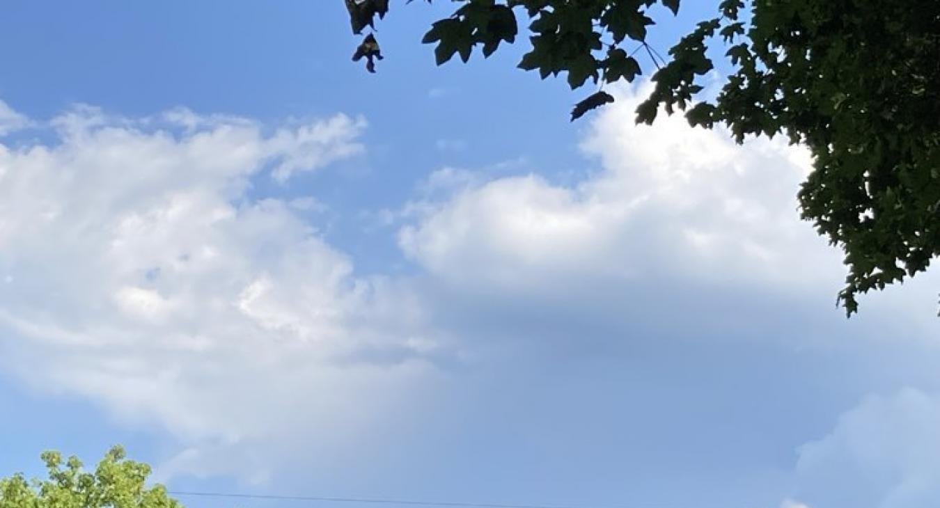 A tavasz utolsó napjai nyáriasan telnek