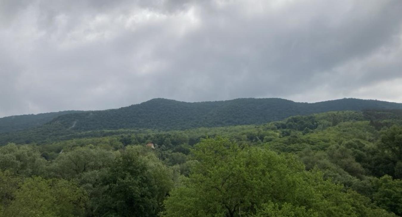 Nyárias idő, kevesebb záporral, zivatarral 