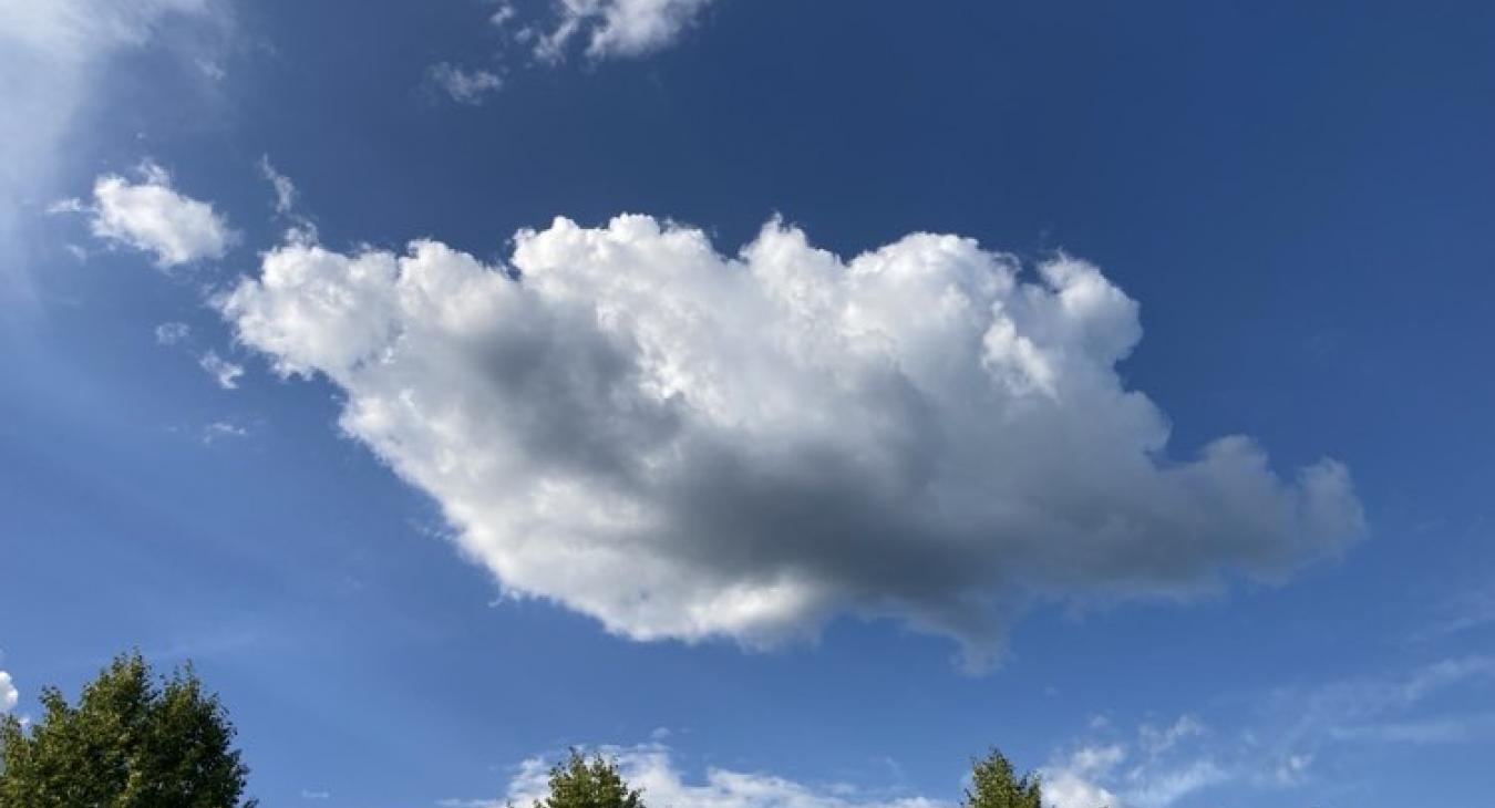 Kora nyári, fülledt idő