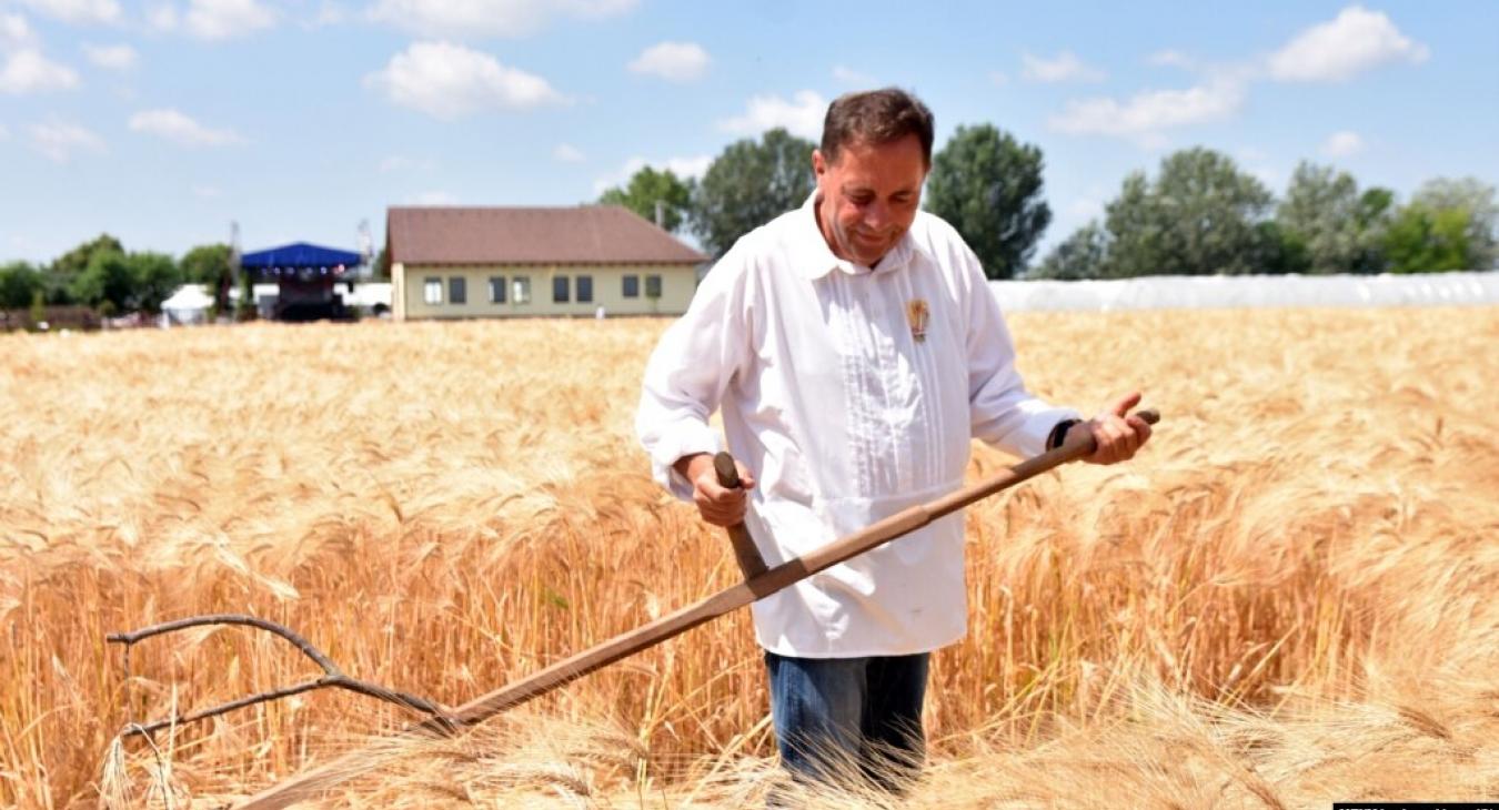 Szavazási segédletben magyarázza el a jászapáti Fidesz, hogyan kell rá voksolni az önkormányzati választáson 