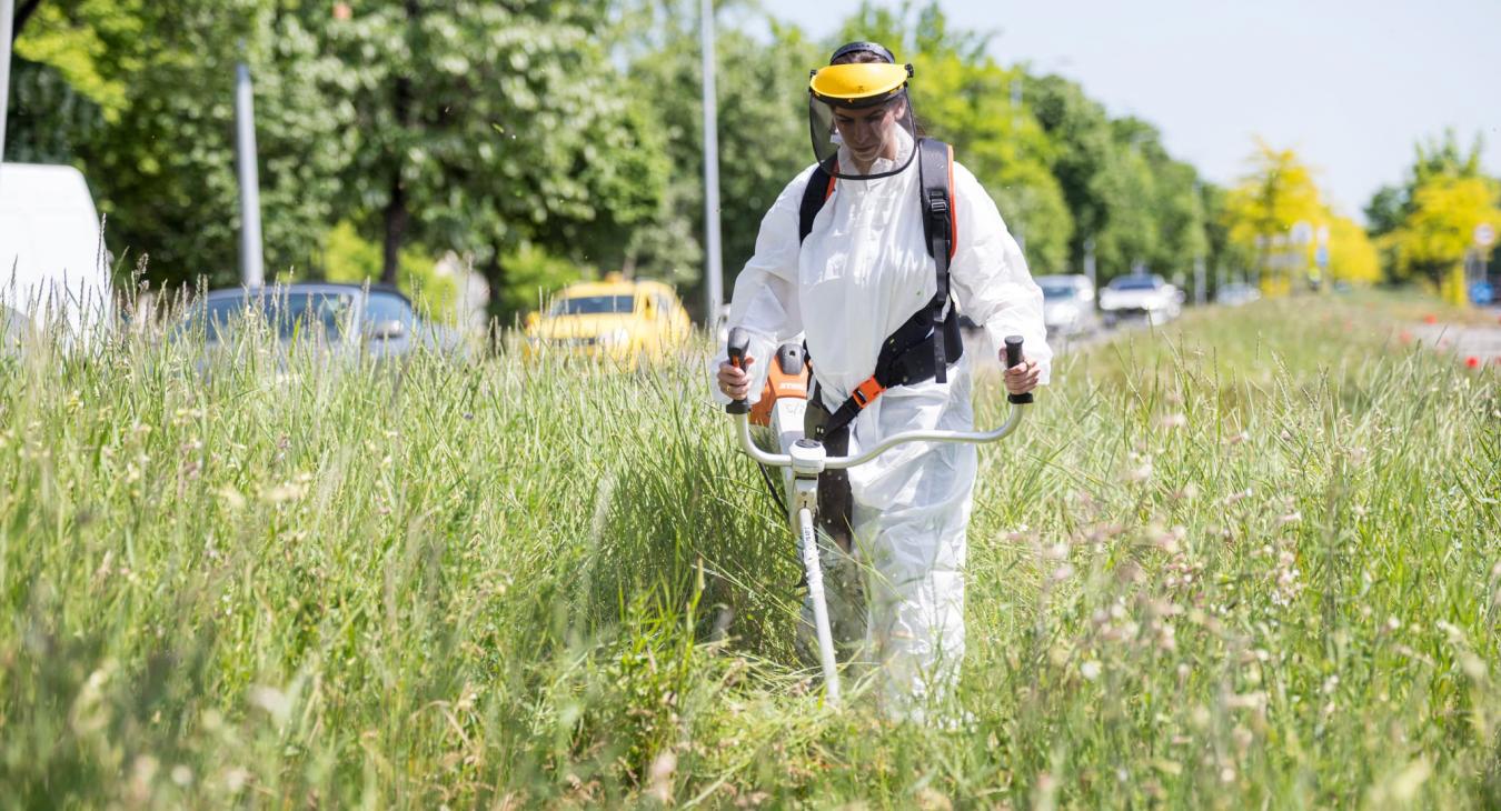 Legkevesebb 100 milliójába fájt az adófizetőknek Szentkirályi Alexandra színpados cirkusza