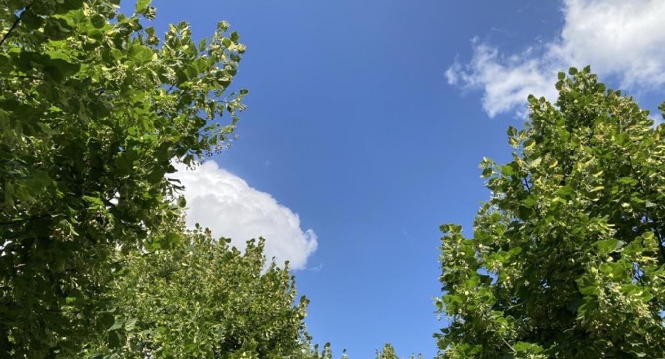 Kialakulhat néhol egy zápor, a nyári melegben