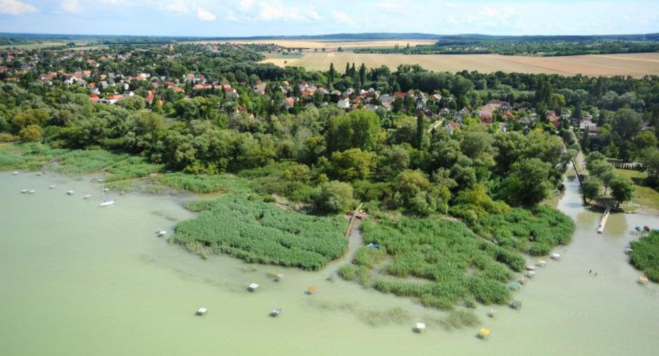 Hajmeresztő dolog zajlik a Balatonnál