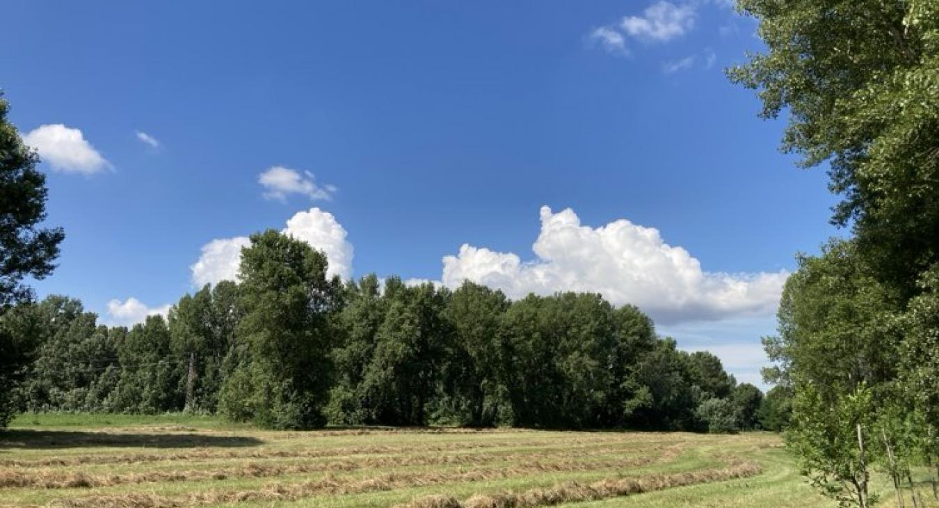 Közelít a következő hűhullám