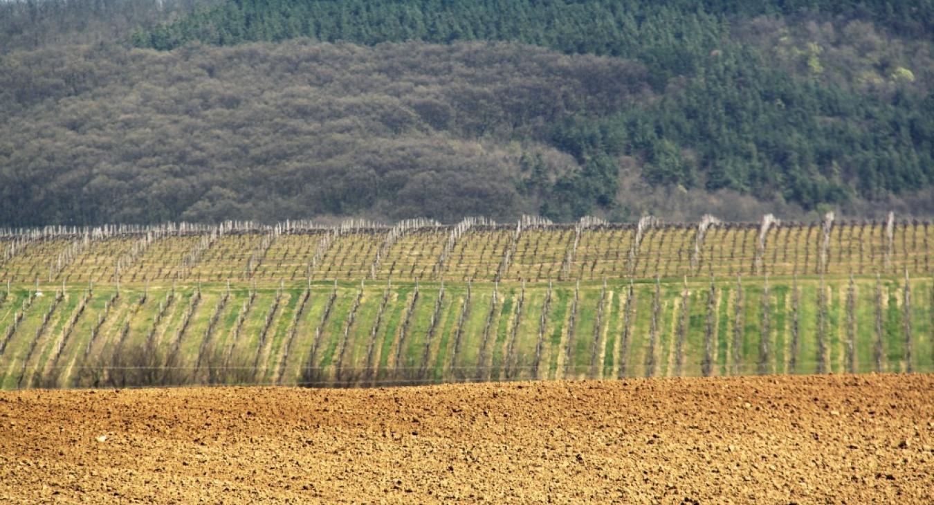 A magyar agrárbárók átlagos birtokmérete tízszer nagyobb, mint az uniós átlag