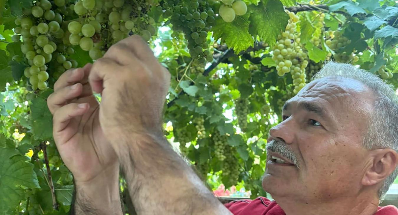 Bemondta a válságot a magyar agrárminiszter, már a bőrünkön érezzük 