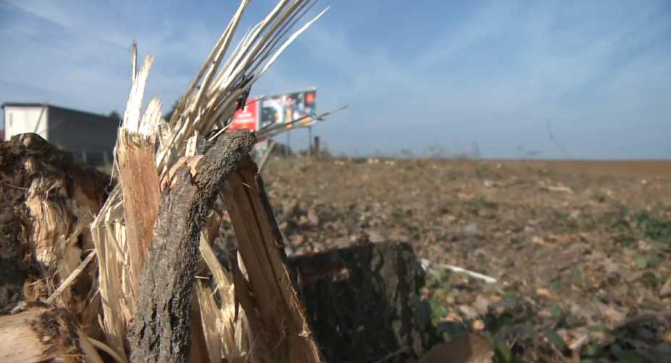 Maglódon, a lakóházak közelében építhet gyárat egy dél-koreai cég