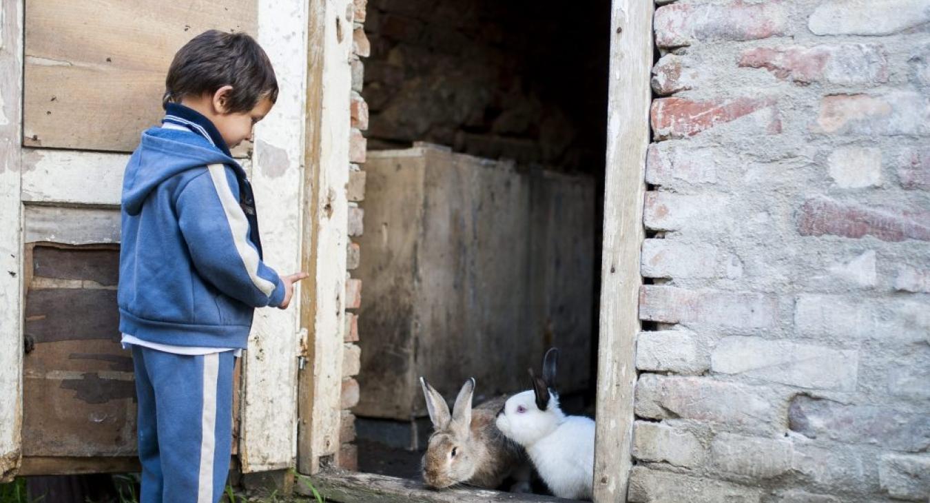 "Először az ágyat és a szekrényt adom el, aztán jön az uzsorakölcsön"