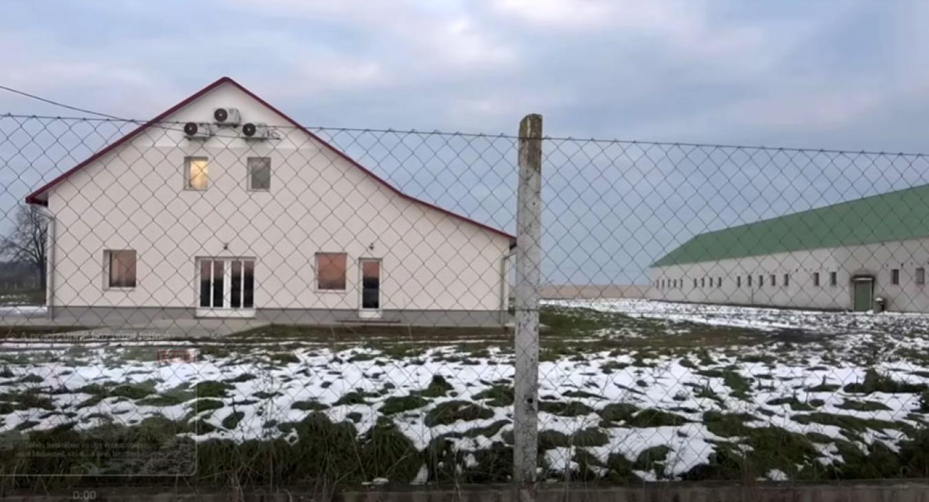 Még mindig nincsenek tehenek Süli János fiának telepén, pedig uniós támogatás is járt a fejlesztéshez