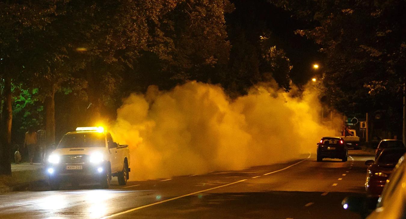 Fejlődési rendellenességet okozhat a szer, amivel a kémiai szúnyoggyérítést végzik itthon