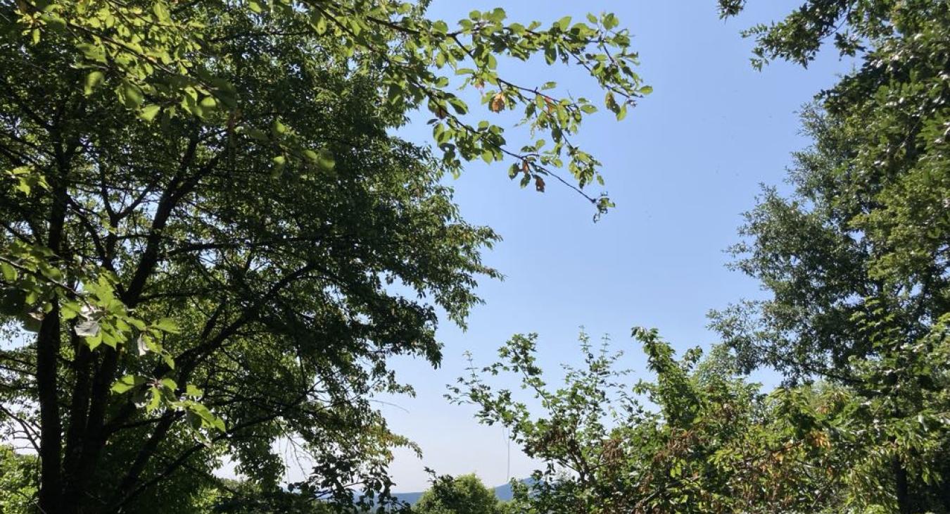 Döntött a kormány, ezentúl védett területeken is lehet olajat és gázt termelni Magyarországon